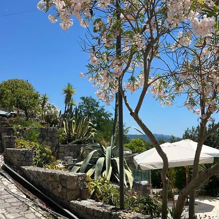 Amaranta - Mytouristhome Vila
