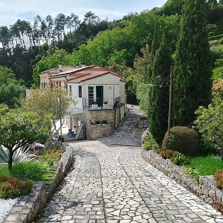 Villa Amaranta - Mytouristhome *