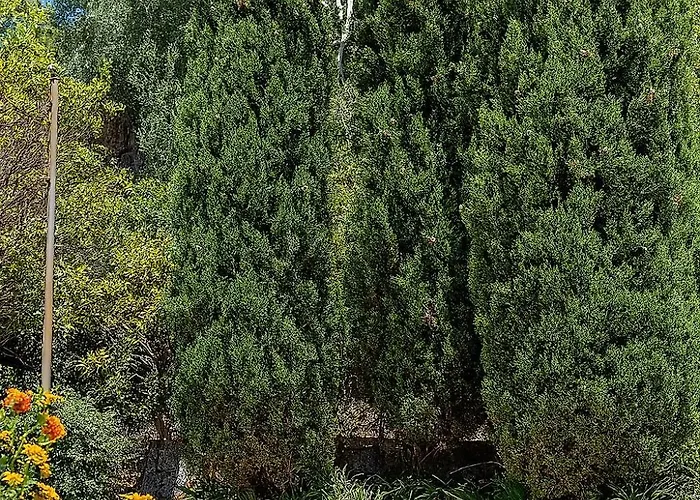 别墅 Amaranta - Mytouristhome